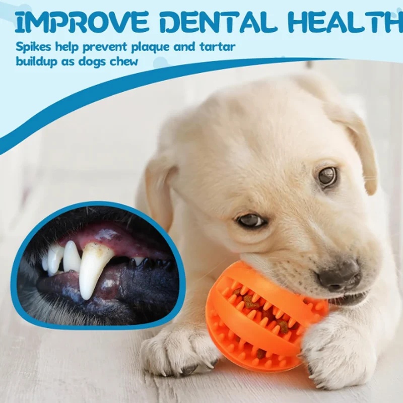 1-4Pcs Dog Toy Snack Ball Inte - Food Snacks Distribution review and price